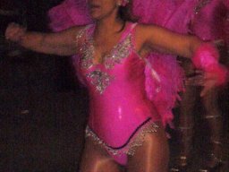 Carnaval de Mula 2008